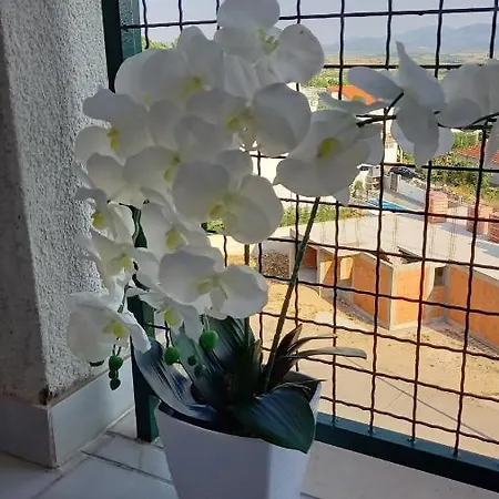Apartman Elena